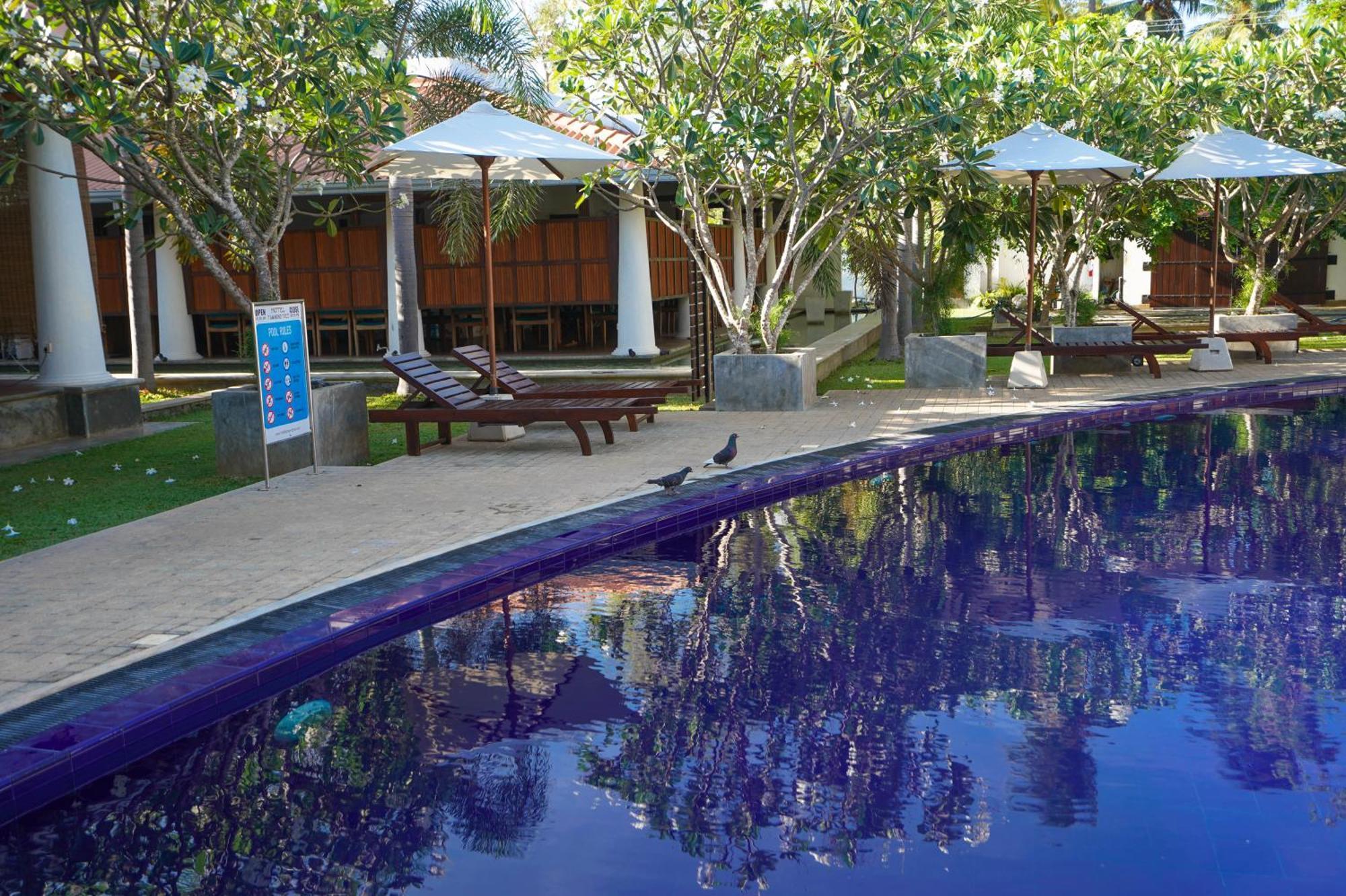 Hotel Tamarind Tree Tissamaharama Exterior foto